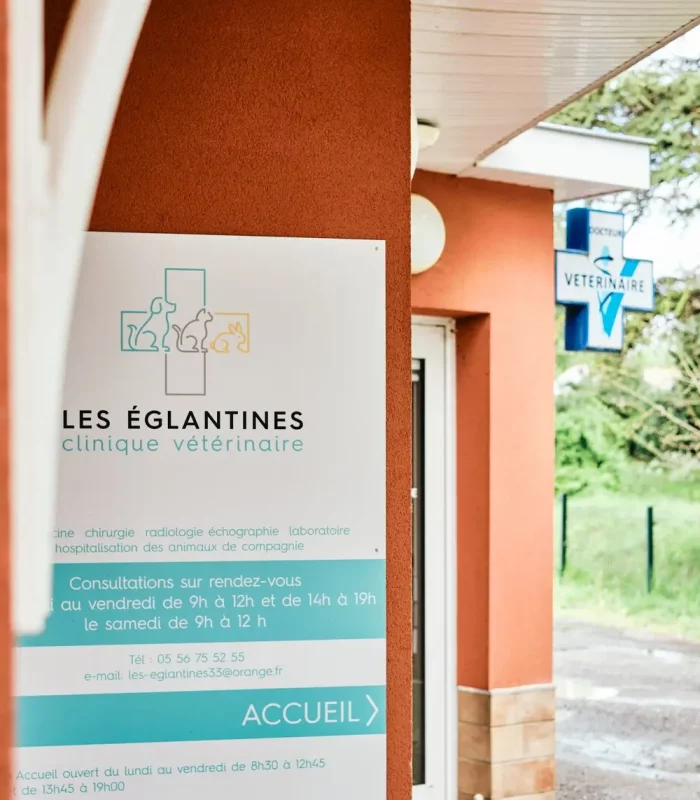 CliniqueVetLesEglantines 8 CliniqueVetLesEglantines 8